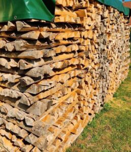 Chauffage au Bois : L’Art de Choisir le Meilleur Bois pour Votre Foyer